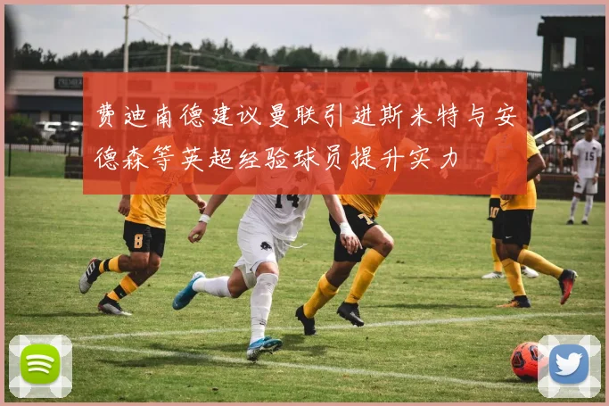 费迪南德建议曼联引进斯米特与安德森等英超经验球员提升实力